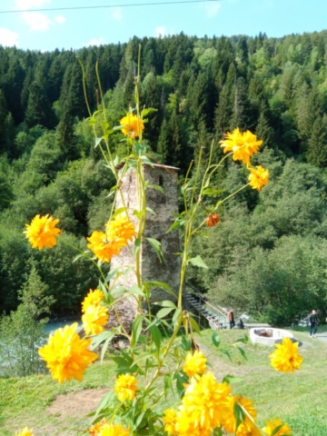 Tour de Guet (Région de la Svaneti - Mestia)